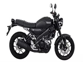 Yamaha XSR Bike