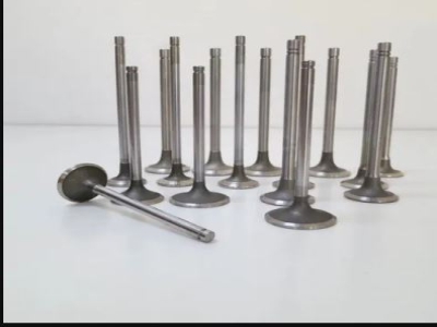 Cummins Exhaust Intake Valve