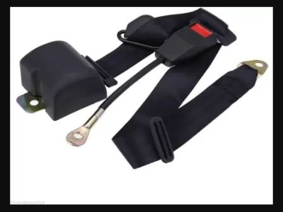 CARWAY Car Seat Belt