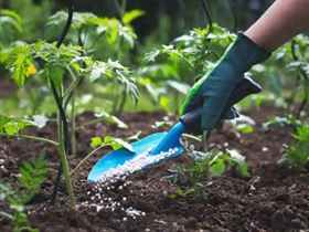 Fertilizer Dealers