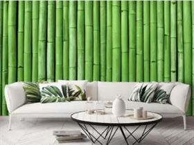 Flipkart SmartBuy Green bamboo tree Wallpaper