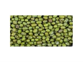 Pulse Moong Seed