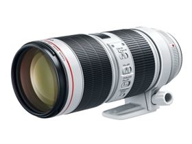 Versatile telephoto zoom designed for full frame Canon FF mount DSLRs