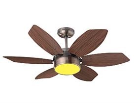 ceiling fans