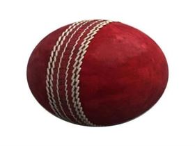 Red Genuine Leather Cricket Ball