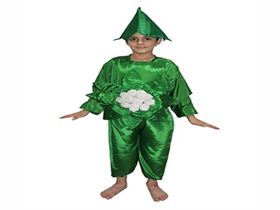 Cauliflower Costume For Sale 