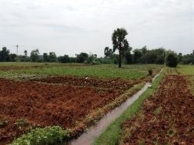 Agriculture land sale