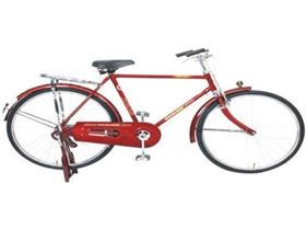 Red Atlas Goldline Mens Bicycle