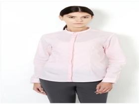 Stripes Formal Van Heusen Pink Shirt For Women