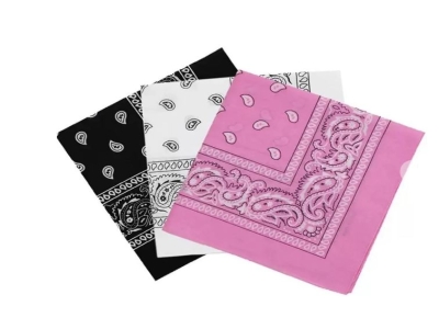 Printed Cotton Paisley Bandana