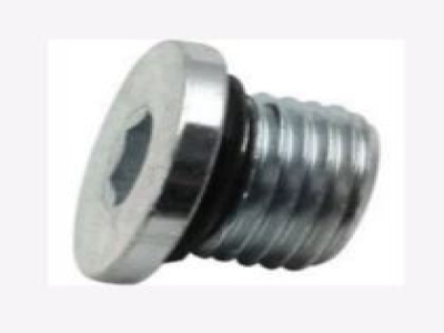 Oil Pan Drain Bolt