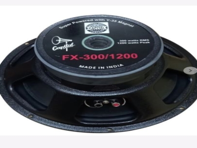 FX Capital Car Subwoofer