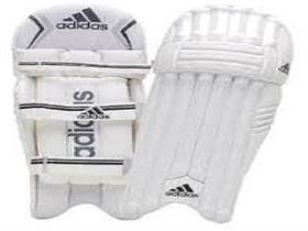 SS and SG Cricket Pads