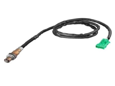 Automobile Oxygen Sensor