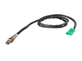 BUS Oxygen Sensor