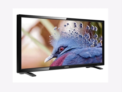 Startek Black Inch LED Television