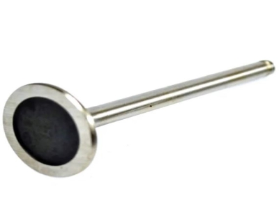 NRV Stainless Steel Heavy Duty Car Engine Valves