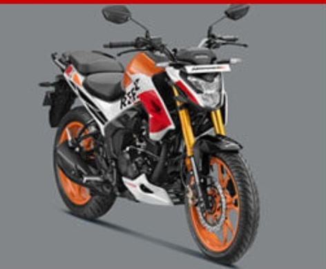 Hornet 2.0 Repsol Honda Edition